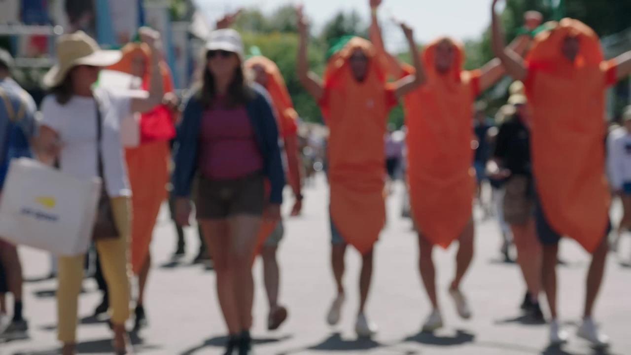 Jannik Sinner cheered on by orange-clad fans during Italian Open